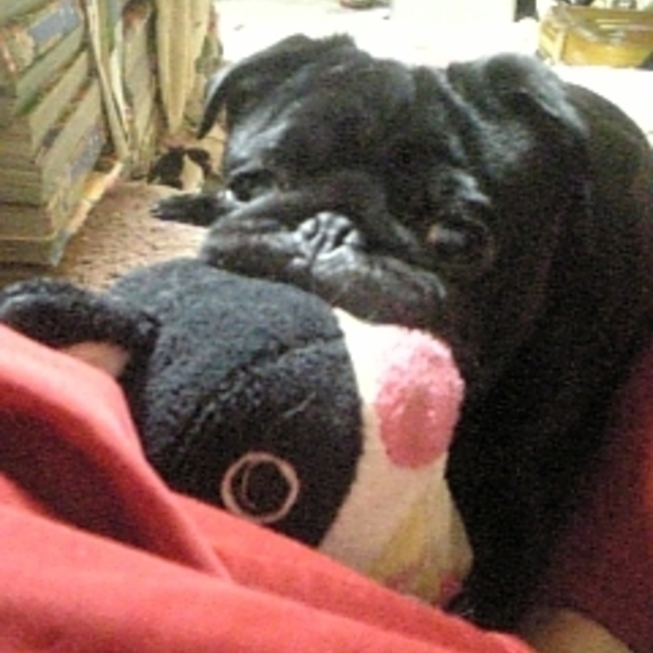 じょにーのカバー写真