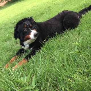 超甘えん坊サラ7歳！性格良し