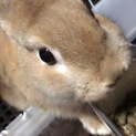 可愛がってくれる方お願いします！