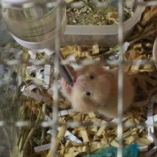 募集おわりました！ありがとうございました☺️