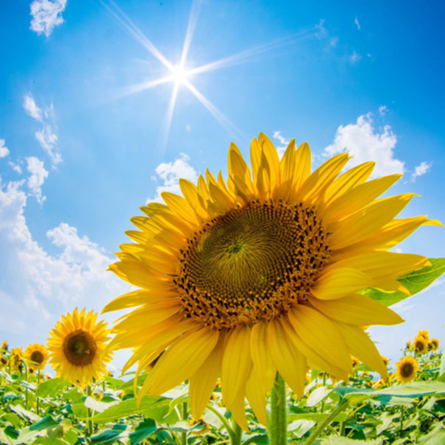 ロゴのカバー写真