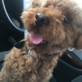 【わいんくん】検討段階です。お待ちください。