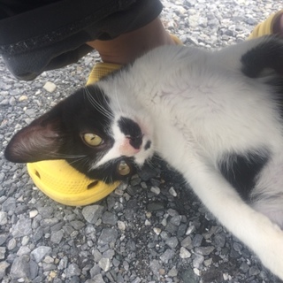 甘えんぼう♪可愛いツートンガール