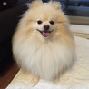 こんぶ母さん