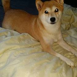 「一年が経ちました！」サムネイル2