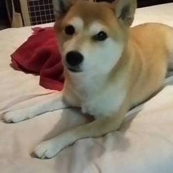 「一年が経ちました！」サムネイル3