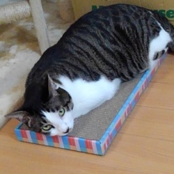 「近況8月」サムネイル2