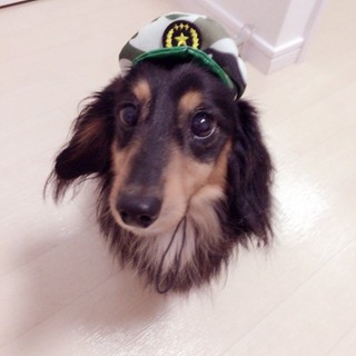 決定しました、沢山応募ありがとうございました！