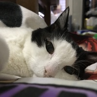 ミー子