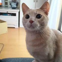 一年記念日を迎えました((o(^∇^)o))