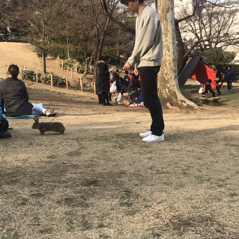 シュシュのカバー写真