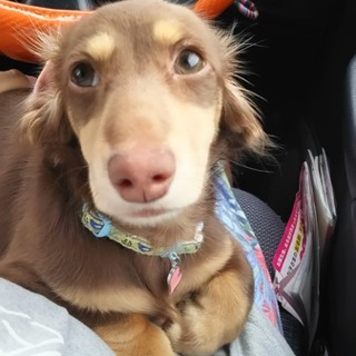 ありがたく、ご連絡が多いため一時止めます