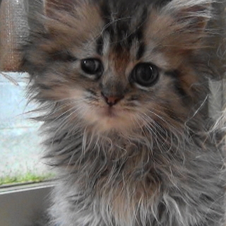 愛される為に生まれてきました