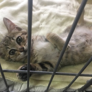 元気で可愛いカンタ君