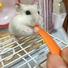 食べるの大好き！
