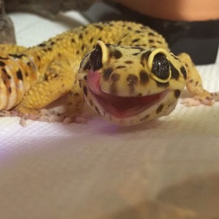 ありがとうございました！