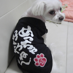 めっちゃ好きやねん