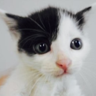 保護団体様に引き出して頂けました。