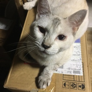 とても穏やかなおはぎちゃん