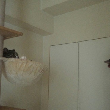 あら、福にゃんたら、ついにカップにイン！！良かった♡