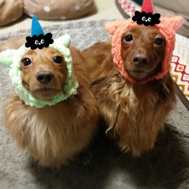 pansonworksmayu0220のカバー写真