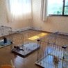 周防大島ミュウ保育園(保護活動者)
