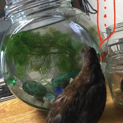 「マフラーでおしゃれしてみましたん＾＾」サムネイル3