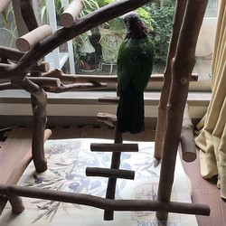 初めてのバードジム