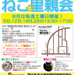 8月19日(土)地域猫から社会猫へ FIPフリー・四谷猫廼舎(ねこのや)里親会(ボランティア募集中)