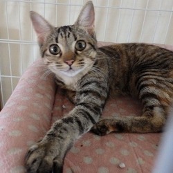 めめちゃんのこと