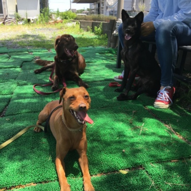 レオユウタのカバー写真