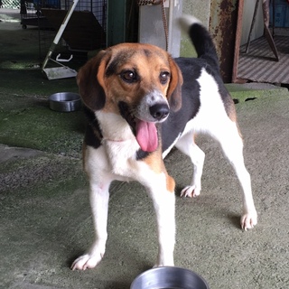 ちょっぴりビビリの可愛い女の子