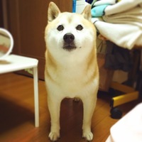 金太郎