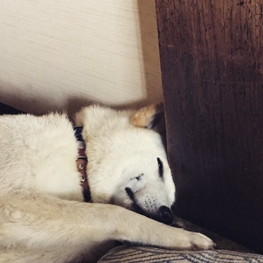 まもなく１歳まるくん   病院疲れ