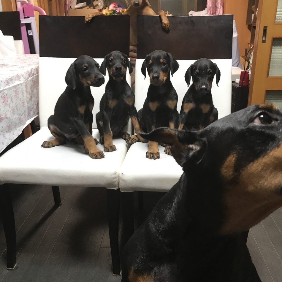 アーサのカバー写真