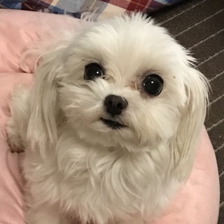 人懐っこくて、とても甘えたな女の子♪