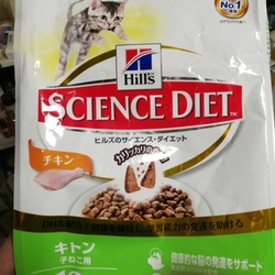 猫はまるくなる