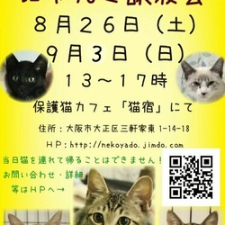 にゃんこ譲渡会"臨時開催"