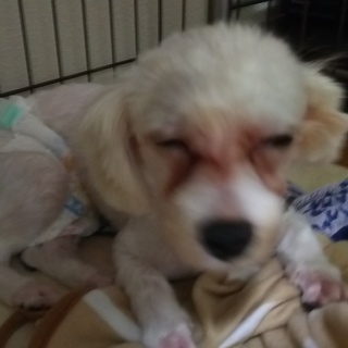 沢山のご応募、ありがとうございました。