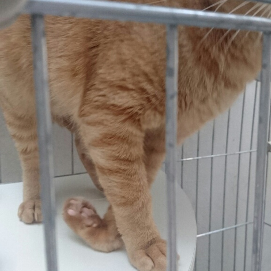 仁のカバー写真