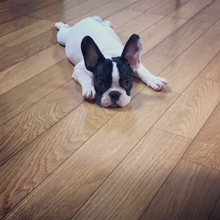 応募多数の為締め切らせて頂きます。