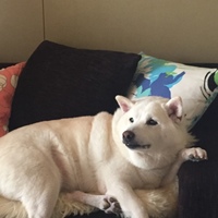 メリーさん