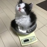charun さん