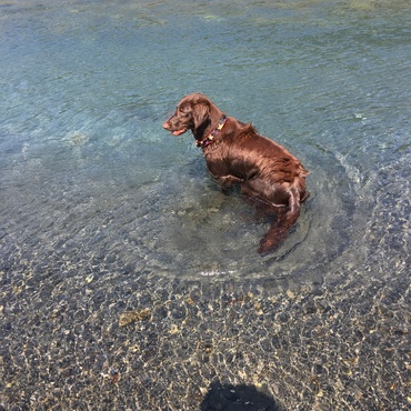 川遊び大好き❤