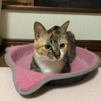 まめ