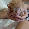生まれたて☆オレンジ☆の赤ちゃん