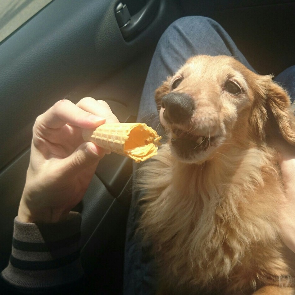 リヴのカバー写真