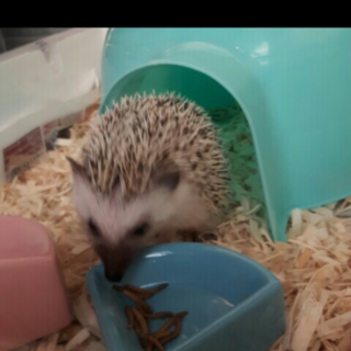 沢山のご応募ありがとうございました。