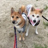 らん&とむママ