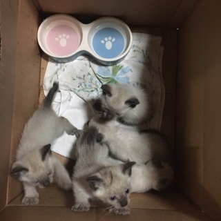 ラスト1人となりました^ ^